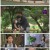 아모르 파티 - 사랑하라, 지금.E96.210830.1080p.H264-F1RST