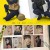 경찰수업.E09.1080p.WEBRip.AAC2.0.x264-AppleTor
