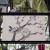홍천기.E05.210913.720p-NEXT