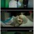 하이클래스.E13.211019.1080p.WANNA