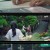 멜랑꼴리아.E06.211125.720p-NEXT