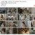 사랑의 꽈배기.E02.211214.H264.720p-BULDU