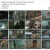트레이서.E05.220121.H264.720p-BULDU
