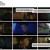 돼지의왕 E03-04 금주공개분 720p