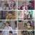 으라차차 내 인생.첫회.E01.220411.1080p.H264-F1RST.mp4
