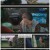 우리들의 블루스.E04.220417.1080p.H264-F1RST