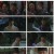 태종 이방원 .E28.220417.1080p.H264-F1RST.mp4
