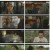 지금부터, 쇼타임!.E13.220604.1080p.H264-F1RST.mp4