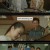 지금부터 쇼타임.E14.220605.720p-NEXT