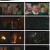 붉은 단심.E12.220607.1080p.H264-F1RST.mp4