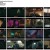 블라인드.E01.220916.1080p.H264-F1RST