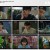 오늘의 웹툰.E16.220917.720p.H264-F1RST