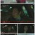 디 엠파이어: 법의 제국.E04.221002.720p.H264-F1RST