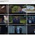 천원짜리 변호사.E06.221008.720p-NEXT
