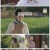태풍의 신부.E02.221011.1080p.H264-F1RST