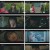블라인드.E10.221015.1080p.H264-F1RST.mp4