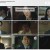 디 엠파이어- 법의 제국.E08.221016.720p-NEXT