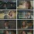 법대로 사랑하라.E14.221018.1080p.H264-F1RST.mp4