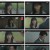 멘탈코치 제갈길.리턴매치.E13.221024.720p.H264-F1RST.mp4