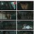 멘탈코치 제갈길.공수교대.E14.221025.720p.H264-F1RST.mp4