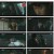 멘탈코치 제갈길.공수교대.E14.221025.1080p.H264-F1RST.mp4