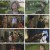 커튼콜.E01.221031.1080p.H264-F1RST.mp4