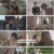 커튼콜.E02.221101.1080p.H264-F1RST
