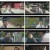 슈룹.E09.221112.1080p.H264-F1RST.mp4