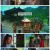 [중화TV] 인어 신부.E01.221114.1080p.H264-F1RST