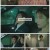 커튼콜.E05.221114.1080p.H264-F1RST