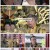 난릉왕.E11.221115.1080p.H264-F1RST