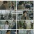연예인 매니저로 살아남기.수현.E04.221115.1080p.H264-F1RST