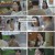유미의 세포들 시즌2.E02.221117.1080p.H264-F1RST