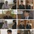 마녀의 게임.E25.221118.1080p.H264-F1RST