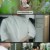사랑의 이해.E01.221221.720p-NEXT