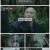 비호외전.E16.221230.1080p.H264-F1RST