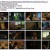 카지노.Big.Bet.S01E06.1080p.DSNP.WEB-DL.6CH.H.264-NVZ