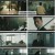 법쩐.E08.230128.1080p.H264-F1RST