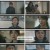 빨간 풍선.E12.230129.1080p.H264-F1RST