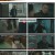 미씽 그들이 있었다2.E13.230130.1080p.H264-F1RST