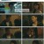 사랑의 이해.E13.230201.1080p.H264-F1RST