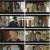 꼭두의 계절.E03.230203.1080p.H264-F1RST