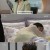삼남매가 용감하게.E38.230204.720p-NEXT
