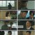 법쩐.E10.230204.1080p.H264-F1RST