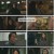 오늘은좀매울지도몰라.E01.230207.1080p.H264-F1RST
