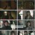 사랑의 이해.E15.230208.1080p.H264-F1RST