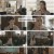 마녀의 게임.E80.230215.1080p.H264-F1RST