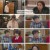 내 눈에 콩깍지.E100.230220.1080p.H264-F1RST