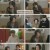 삼남매가 용감하게.E46.230304.1080p.H264-F1RST