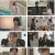 마녀의 게임.E95.230308.1080p.H264-F1RST